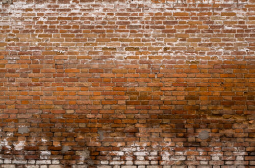 Nasse Mauer